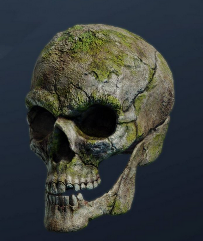 File:Skull.png