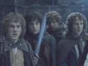 Hobbits in LOTR