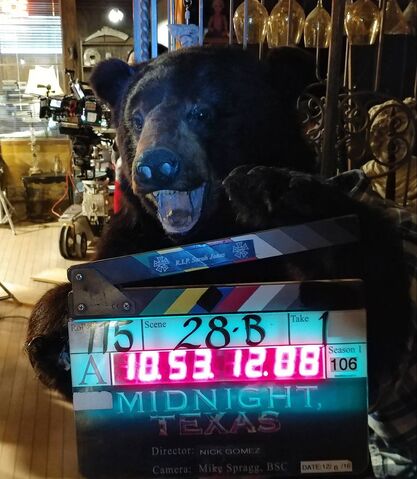 File:BTS stuff bear.jpg