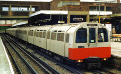 83 dm