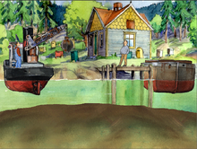Bob Huis