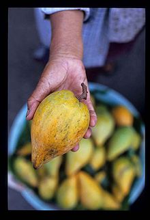 ArchivoPouteria lucuma1.jpg