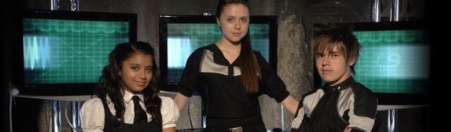 File:RoseDaisyBlane.jpg