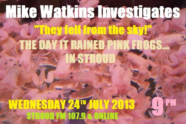 File:PINK FROGS.jpg