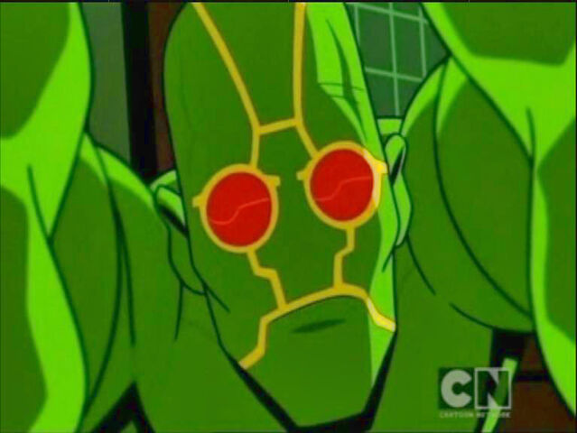 File:Ambush bug 18.jpg