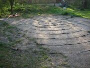 Albion Maze