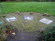 Lofthouse Mosaics