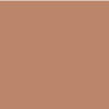 Brown Paint