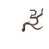 Branch