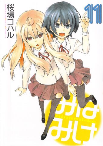 File:Minami-ke Manga v11 cover.jpg
