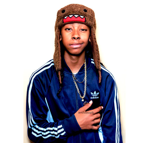 File:Ray-Ray-ray-ray-mindless-behavior-31520535-500-500.jpg