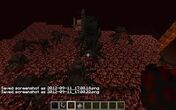 Images (54)