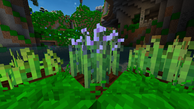 File:FlaxPlant-Mature.png