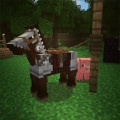 Imagehorse