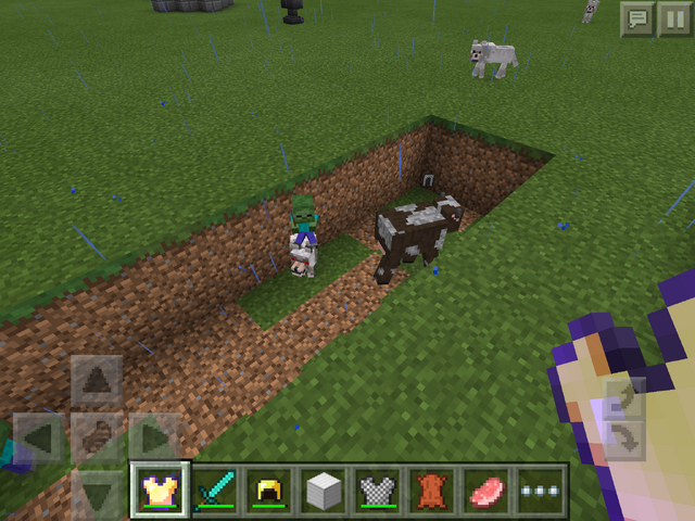 File:Wolfjockey2.png