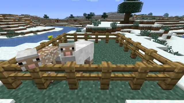 File:Minecraft-11-sheep.jpg
