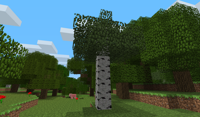 File:Birchtree.png