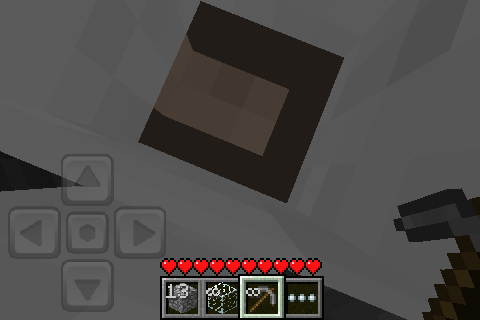 File:Insidesheepsleg.PNG
