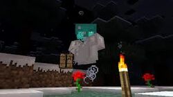 MC1.4Invis.jpg