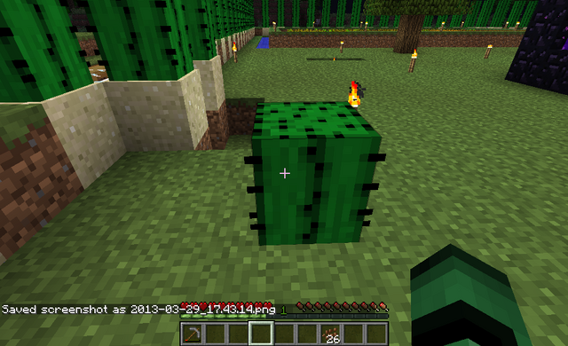 File:Cactus on Grass 1.png
