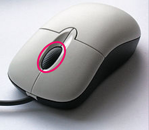 Hiiren keskinappi.png