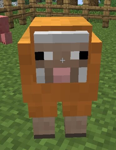 File:Orange sheep2.jpg