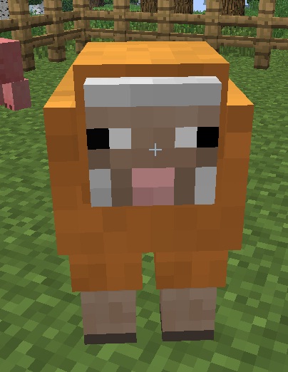 Orange Dye Minecraft Wiki Fandom powered by Wikia