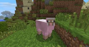 File:Pink.jpeg