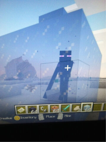 File:Enderman trap in Ice..jpg