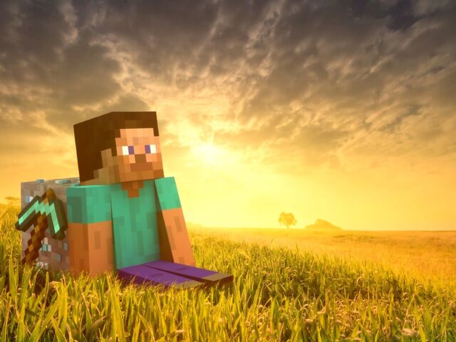 File:Steve Sunset.jpg