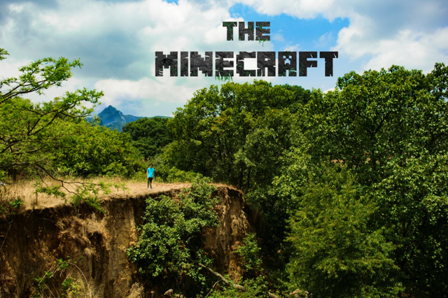 File:The Minecraft Advertising Reduced.png