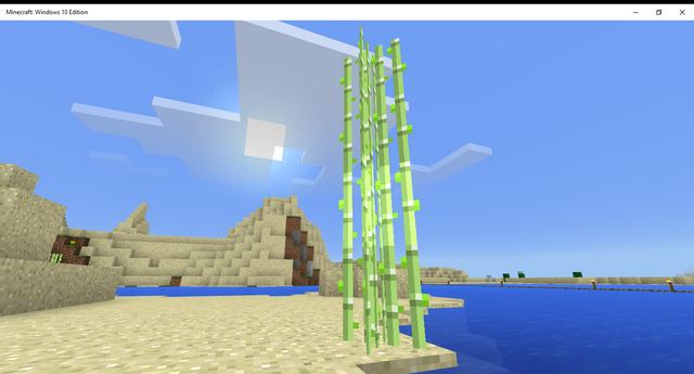 File:Desert Sugar Cane.png