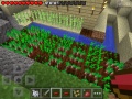 Beet garden