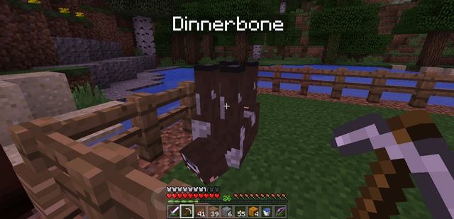 File:Dinnerbone easter egg.png