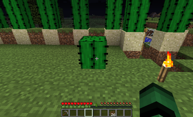 File:Cactus On Grass 2.png