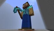 Steve