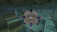 Guardian Y.