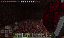 Nether