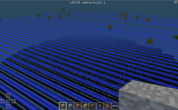 Stripe land