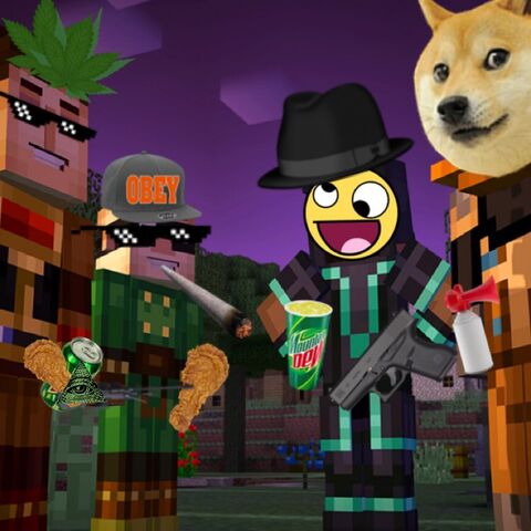 File:OrderoftheMLG.jpeg