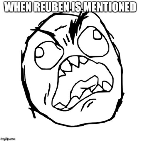 File:MCSMMemesinanutshell.jpeg