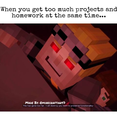 File:MC47meme2.jpeg