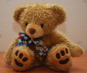 Teddy Bear 45 flash