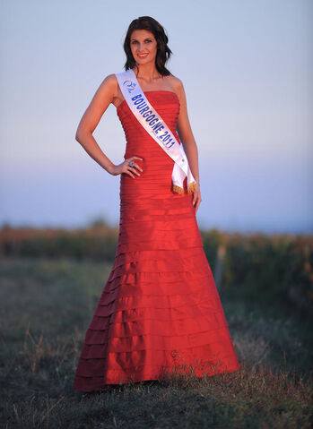 Fichier:Bourgogne2011.jpg