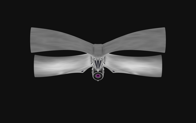 File:Moth4.png