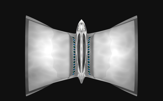 File:Moth5.png