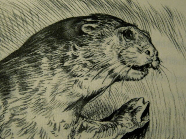 File:DSCN3397.jpg