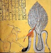 Apep 2.jpg