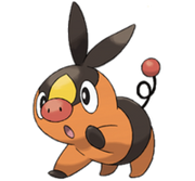 498Tepig