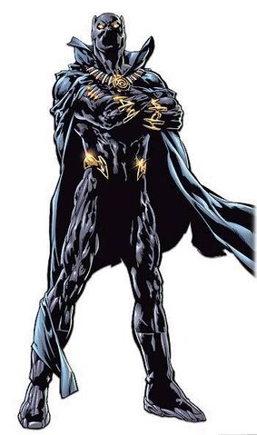 File:Black panther.jpg